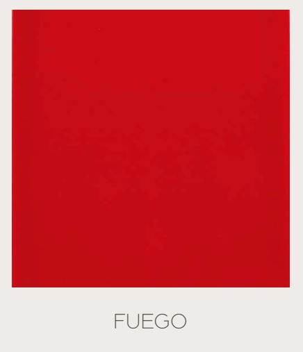 Gres Monocolor Colores Especiales 10x20