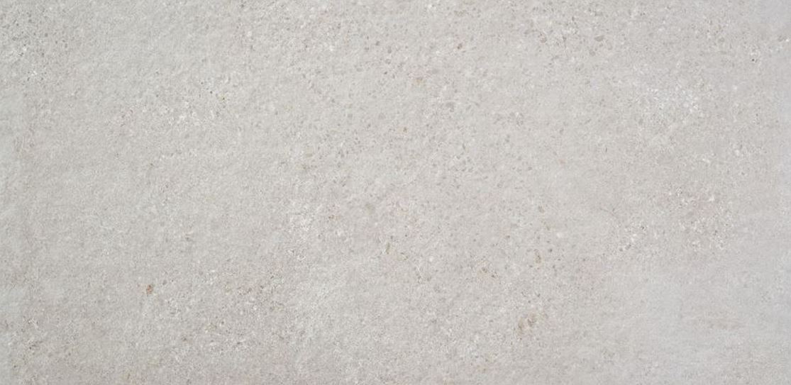 Porcelánico Rectificado Rodas Gris Claro Mate 60x120