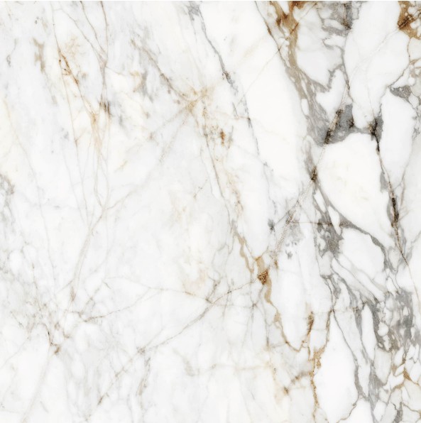 Porcelanico Rectificado Barnaby White Pulido 120x120